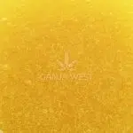 Sauce - Pink Gas - Indica - Image 2