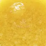 Sauce - Pink Picasso - Hybrid - Image 2