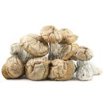 Wholesale - Shrooms - Hillbilly Pumpkin