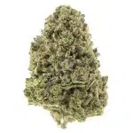 Purple Fat Pie AA - Indica
