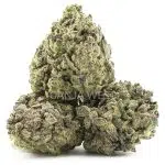 Wholesale - Purple Fat Pie - AA - Image 2