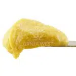 Live Resin - Watermelon Zum Zum - Sativa
