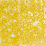 Shatter - Golden Panda - Sativa - Image 2