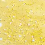 Shatter - Hawaiian Breeze - Sativa - Image 2