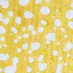 Shatter - Strawberry Limeade - Sativa - Image 2