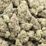 Wholesale Cannabis - Midnight Cookie - AAA