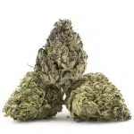 Papaya Slapper A - Hybrid - Image 2