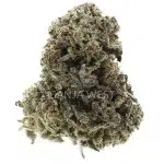 Sundae Cake AA - Indica