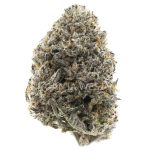 Guava Berry Kush AAAA - Indica