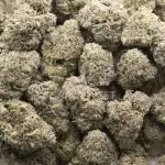 Guava Berry Kush AAAA - Indica - Image 3