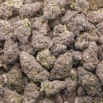 Huckleberry AAAA - Hybrid - Image 3