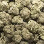 Oreo Blizzard AAAA - Indica - Image 3