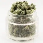 Wholesale Popcorn - Rob Ford Kush - AAAA - Image 2