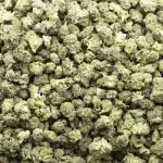 Wholesale Popcorn - Rob Ford Kush - AAAA