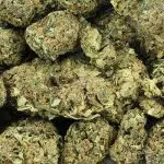 Viper Cookies A - Indica - Image 3