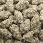 White Truffle AAAA - Indica - Image 3
