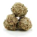 Wholesale - Berry Exotic - AA - Image 2