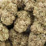 Wholesale - Berry Exotic - AA