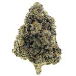 Cherry Breath AAAA - Hybrid