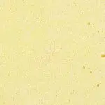 Budder - Tom Ford Bubba Kush - Indica - Image 2