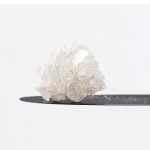 Diamonds - Pink Jesus - Sativa