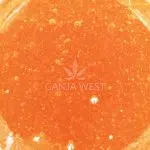 Sauce - Apple Butter - Hybrid - Image 2