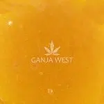 Sauce - Grape Kool-Aid - Indica - Image 2