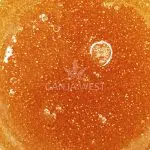 Sauce - Melon Fizz - Hybrid - Image 2