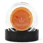 Sauce - Orange Push Pop - Indica