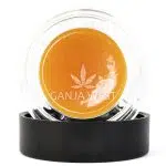 Sauce - Pina Collision - Sativa