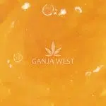 Sauce - Pina Collision - Sativa - Image 2