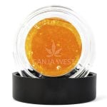 Sauce - Sunny D - Sativa