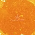Sauce - Sunny D - Sativa - Image 2