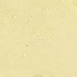 Budder - Grease Monkey - Indica - Image 2