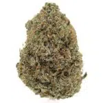 Modified Banana AAA - Indica