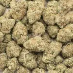 Modified Banana AAA - Indica - Image 3