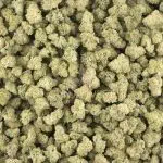 OG Lime Kush AAA Popcorn - Hybrid - Image 2