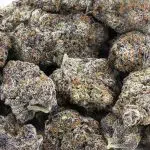Purple MOB Craft - Indica - Image 3