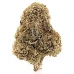 Red Diesel AA - Hybrid