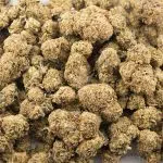 Red Diesel AA - Hybrid - Image 3