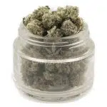 Starfighter AAAA Popcorn - Indica