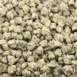 Starfighter AAAA Popcorn - Indica - Image 2