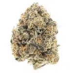 White Master AAA - Hybrid