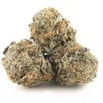 White Master AAA - Hybrid - Image 2