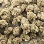 White Master AAA - Hybrid - Image 3