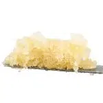 Caviar - 24k Tangie - Indica