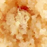 Caviar - Bananaconda - Hybrid - Image 2