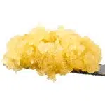 Caviar - Blue Champagne - Sativa