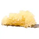 Caviar - Dragon Fruit - Hybrid