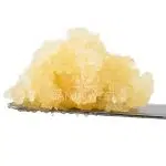 Caviar - God's Gift - Indica